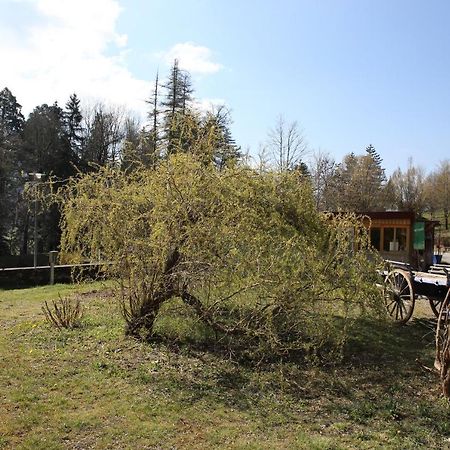 Le Veymont Vila Saint-Martin-en-Vercors Exterior foto