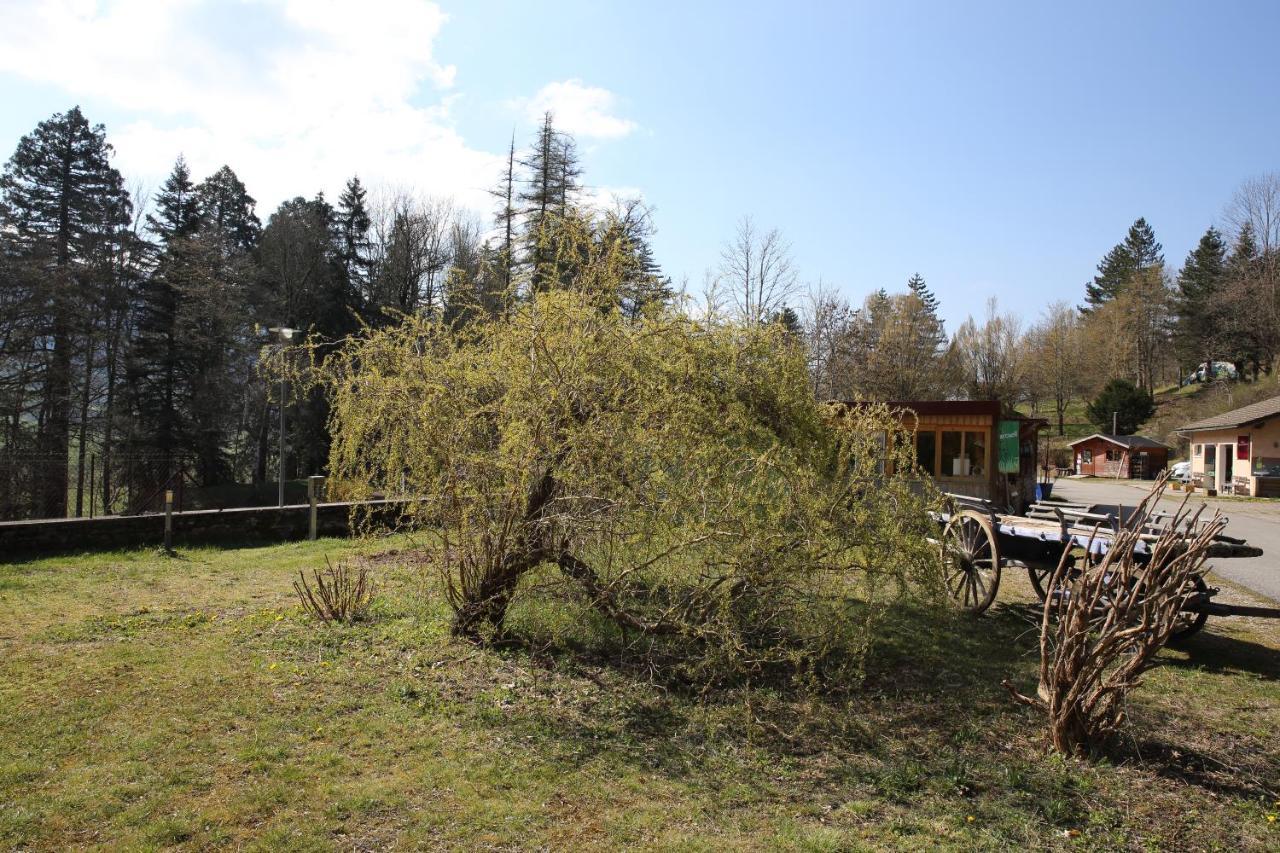 Le Veymont Vila Saint-Martin-en-Vercors Exterior foto